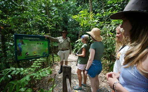 From Cairns/Port Douglas: Small Group Full Day 4WD Tour of Daintree Rainforest, Cape Tribulation, River Cruise, Lunch & Ice Cream in Cairns