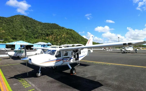 From Cairns: Outer Great Barrier Reef 40 Minute Scenic Flight in Cairns