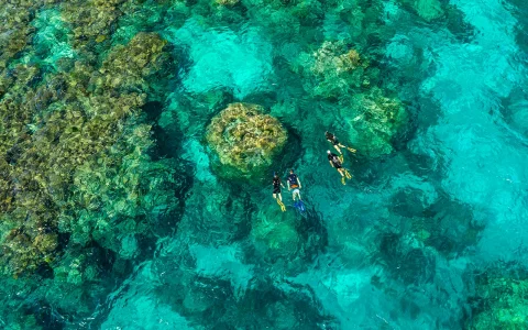 Port Douglas to Great Barrier Reef Cruise with Guided Snorkel and Lunch in Port Douglas