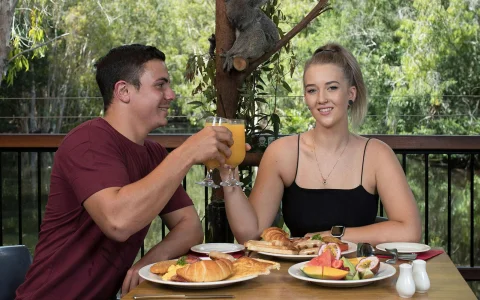 Hartley's Koala Breakfast in Cairns