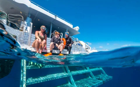 Cairns to Great Barrier Reef Cruise Guided Snorkelling Tour at 3 Outer Reefs in Cairns