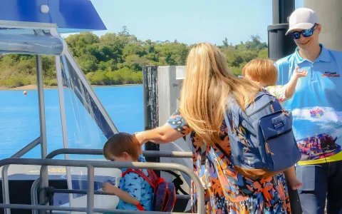 From Airlie Beach: Whitsundays Glass Bottom Boat Tour