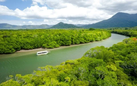 From Port Douglas: Small Group Half Day Tour of Daintree & Mossman Gorge with River Cruise & Picnic Lunch