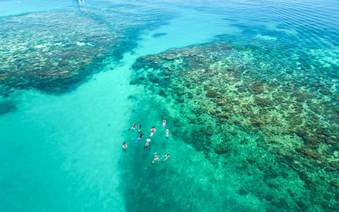 Cairns to Green Island and Outer Reef Sailing Cruise with Guided Snorkel and Lunch in Cairns