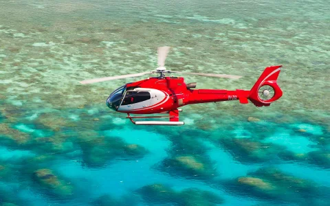 Cairns to Great Barrier Reef Full Day Cruise with Scenic Heli Flight and Lunch in Cairns