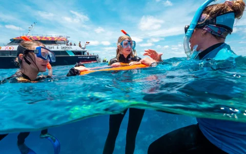 From Cairns: Snorkel Cruise to 2 Outer Reefs with Lunch & Optional Dive