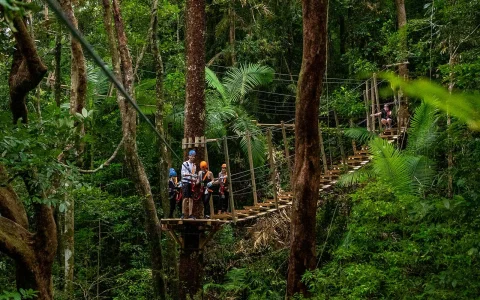 Treetops Adventure Zipline Cape Tribulation Canopy Tour in Cape Tribulation