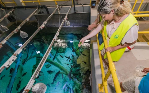 Marine Life Encounter at Cairns Aquarium in Cairns