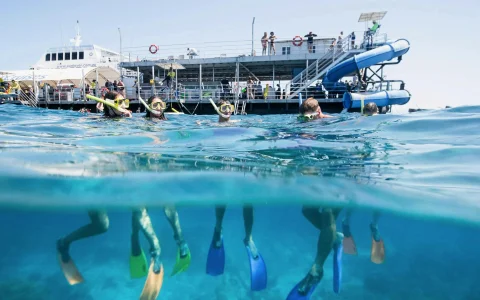 From Cairns : Half Day Moore Reef Tour with Activities & Lunch in Cairns