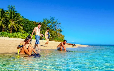 Port Douglas to Low Isles Island Cruise with Guided Snorkel in Port Douglas