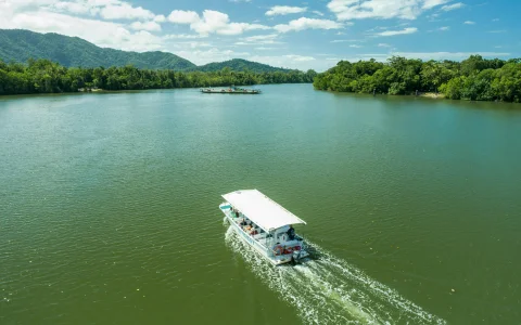 From Cairns/Port Douglas: 2 Day Great Barrier Reef & Daintree Tour: Choose Your Day Order in Cairns