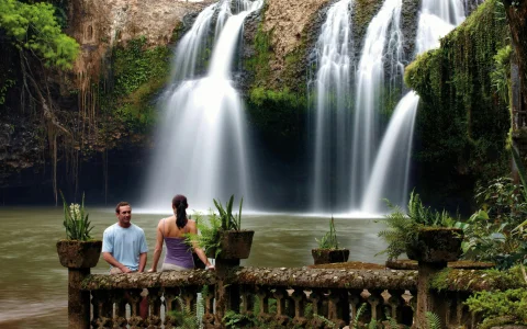 Paronella Park Cassowary Coast Guided Day and Night Tour in Cairns
