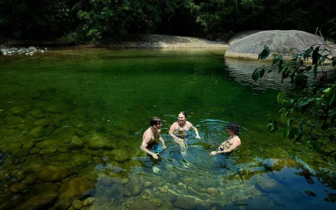 Cassowary Coast Goondoi Culture Experience in Cairns