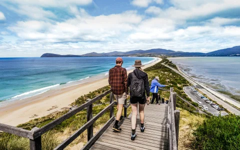 From Hobart: Bruny Island Full Day Guided Tour + Lighthouse, Lunch & Local Tastings in Hobart