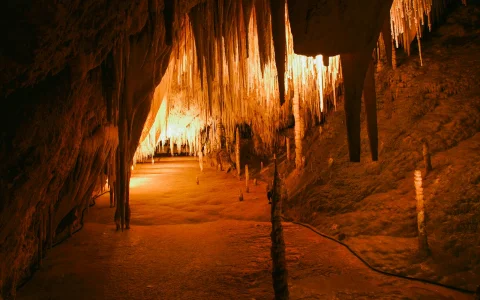 Full Day Guided Tour of Tahune Airwalk & Hastings Caves