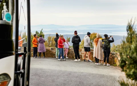 Full Day Guided Tour of Mt Wellington with to MONA