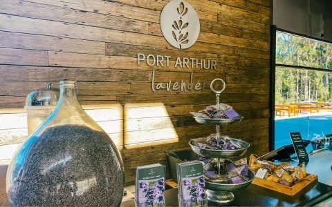 From Hobart: Port Arthur & Lavender Farm Guided Tour