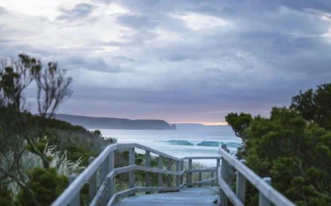 Hobart Highlights & Bruny Island 2 Day Tour with Bonorong Wildlife Sanctuary Entry in Hobart