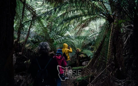 From Hobart: 3 Day Tasmanian Highlights Bundle Bruny Island, Port Arthur and Hobart Highlights
