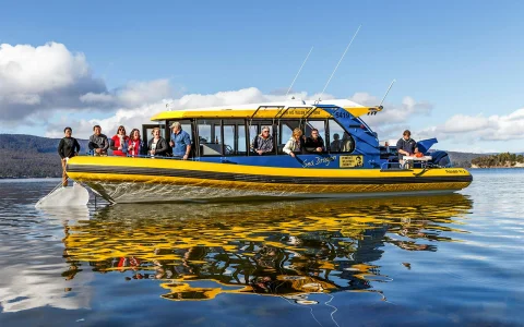 Full Day Guided Cruise Tour in Tasmania with Seafood Lunch in Hobart