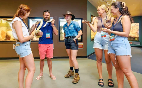 Crocosaurus Cove with VIP Tour in Darwin