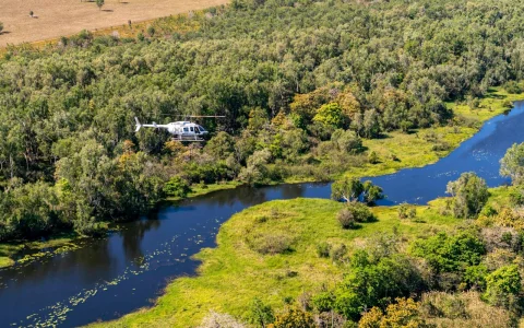 From Darwin: Top End Safari Camp Day Tour Around Finniss River in Darwin