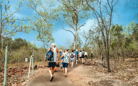 From Darwin: Litchfield & Waterfalls Tour with Transfers