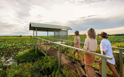 From Darwin: Kakadu Wilderness Full Day Guided Tour in Darwin