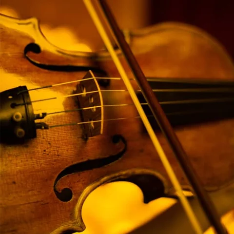 Candlelight: Featuring Vivaldi's Four Seasons and More at St Peter's Cathedral