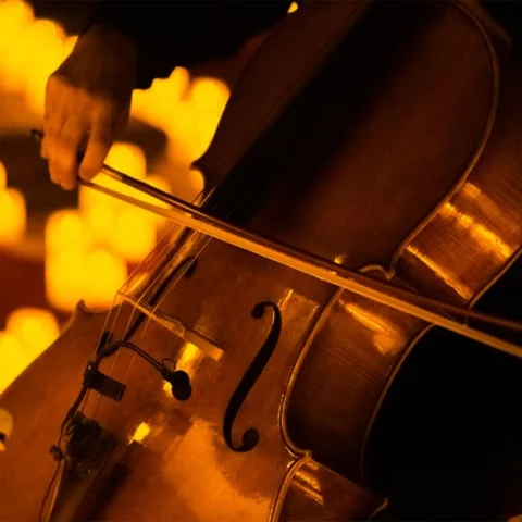 Candlelight: Christmas Carols on Strings at The William Inglis Hotel Warwick Farm