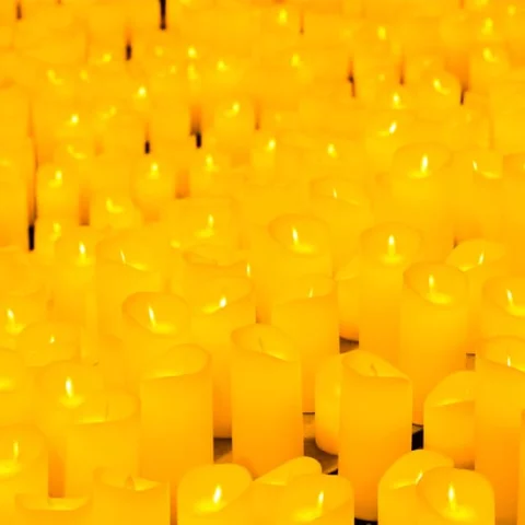Candlelight: Tribute to TOOL at Sea Life Melbourne Aquarium
