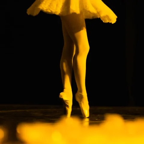 Candlelight Ballet: Tchaikovsky's Swan Lake & More at Collingwood Town Hall