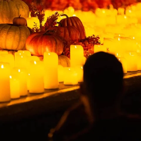 Candlelight: A Haunted Evening of Halloween Classics at St Stephen's Uniting Church