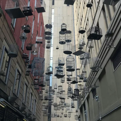 Haunted Sydney: Outdoor Ghost Exploration Game in Sydney
