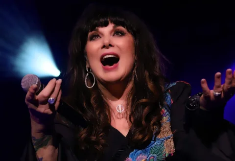 ANN WILSON & TRIPSITTER - The Voice Of Heart at Thebarton Theatre