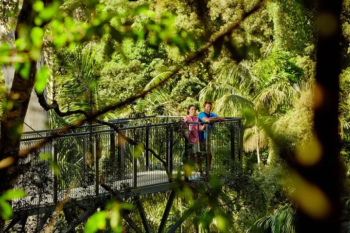 Experience photo 1.