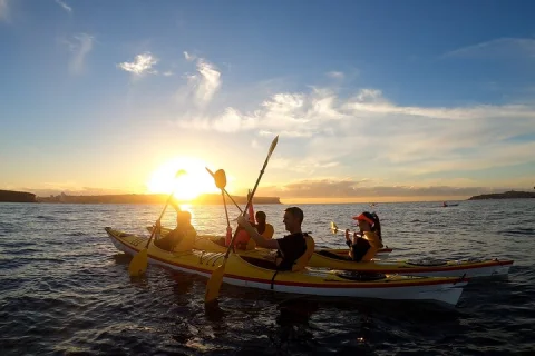 Sydney: Sunrise Escape , Middle Harbour Kayaking Experience in Sydney