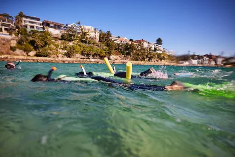 Private Sydney Snorkeling Experience Explore Cabbage Tree Bay in Manly